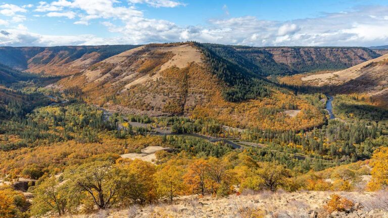 landscape view of fall colors on rolling hills, flat mountain tops and a blue sky