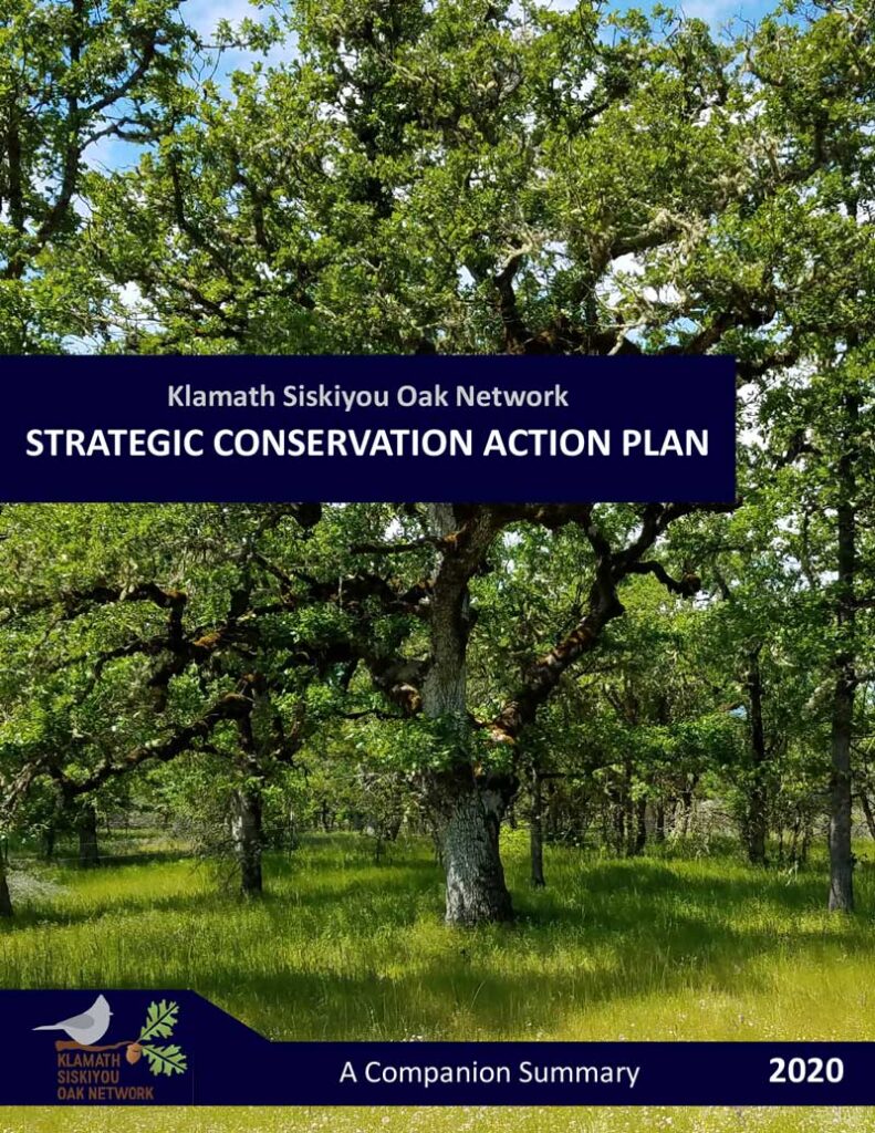 KSON_2020_Klamath_Siskiyou_Oak_Network_Strategic_Action_Plan_Summary_10-1-Cover