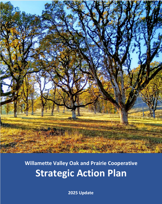 The cover of a strategic action plan. Oaks are the cover image.