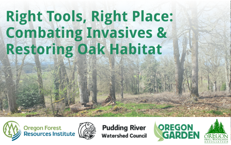 Right Tools, Right Place: Combating Invasives & Restoring Oak Habitat.