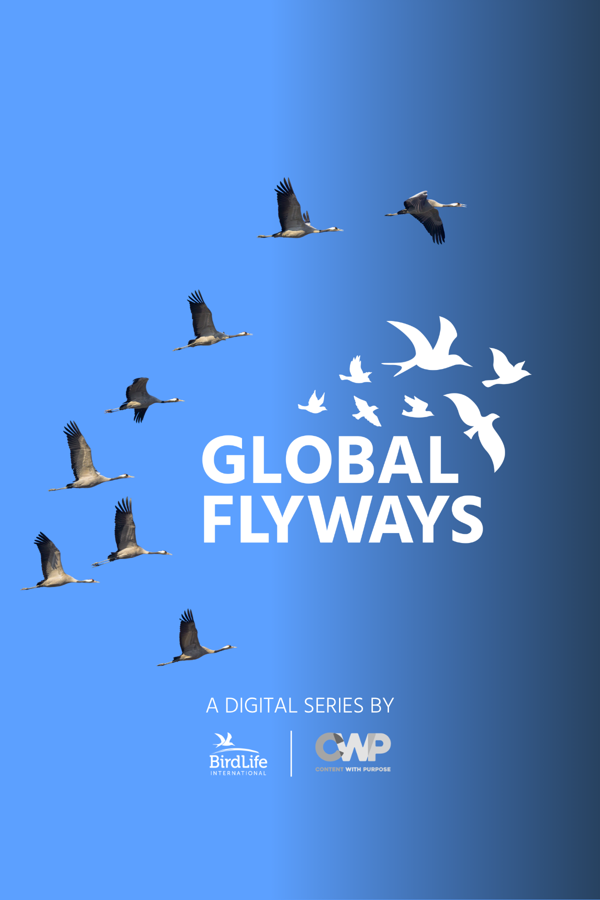 Global Flyways campaign poster