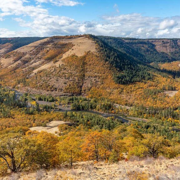 landscape view of fall colors on rolling hills, flat mountain tops and a blue sky