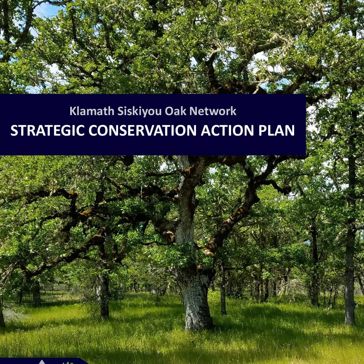 KSON_2020_Klamath_Siskiyou_Oak_Network_Strategic_Action_Plan_Cover