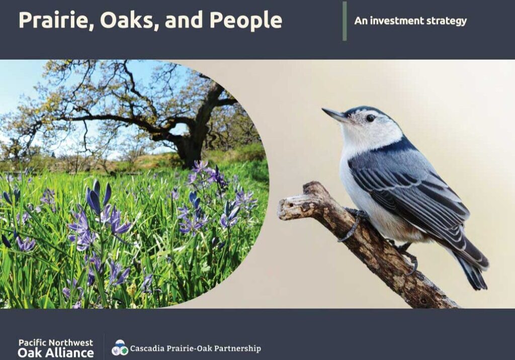 Prairie Oaks People 2024 PNOA cover