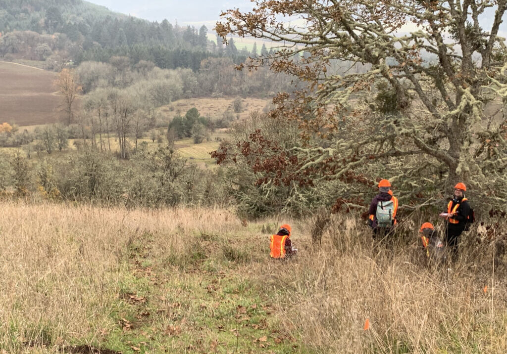 class field trip students in orange safety vests under an oak tree. Two have clipboards and two are crouched down looking at something up close.
