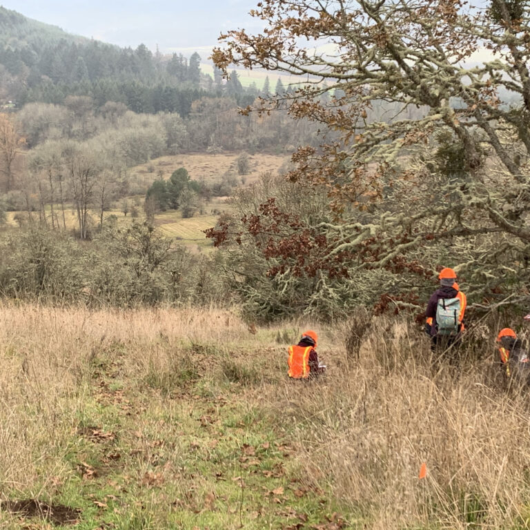 students in orange safety vests under an oak tree. Two have clipboards and two are crouched down looking at something up close.
